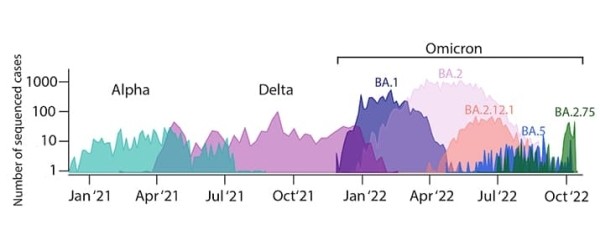 
        Некоторые последние разновидности вируса SARS-CoV-2 вызывают больше беспокойства по сравнению с предыдущими			    