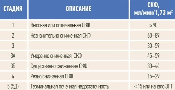 
        Нефропротекция на практике: что нового?			    