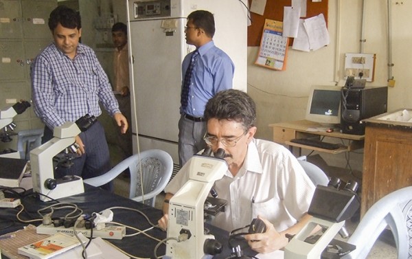 
        Плесневые грибы и опасность инвазивных микозов			    