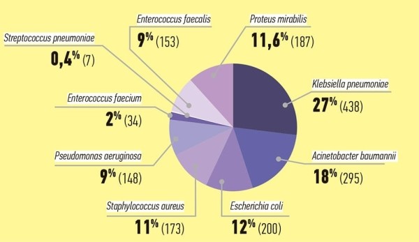 
        DDD-анализ потребления антибактериальных препаратов резерва и его роль в управлении антимикробной терапией			    