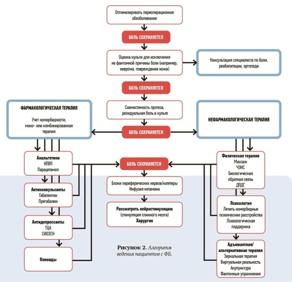 
        Фантомная боль. Междисциплинарный подход как ключ к успешной терапии. Часть 3			    