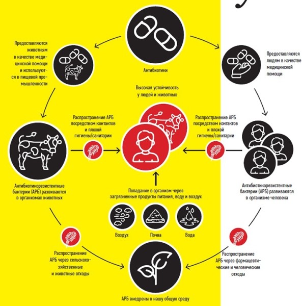 Устойчивость к антибиотикам... витает в воздухе
Устойчивость к антибиотикам... витает в воздухе