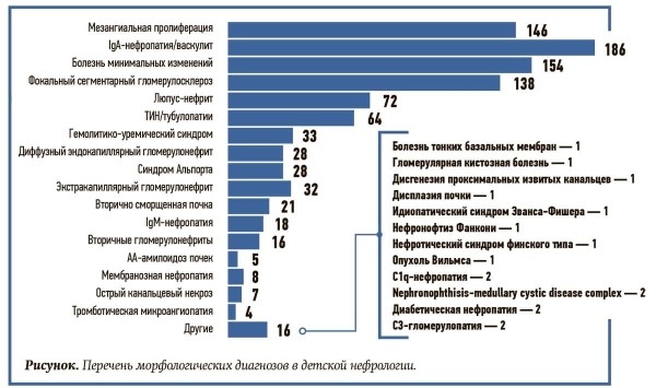 
        Морфологическая диагностика в детской нефрологии			    